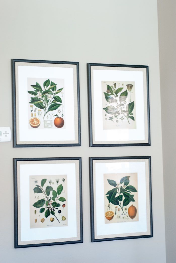 Bluebird Kitchen Decor Bluebird Kitchen Decor