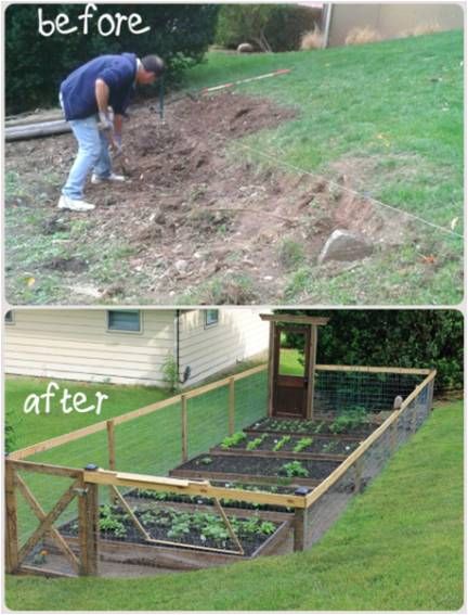 Vegetable Garden Fence Ideas 40 best vegetable garden fence ideas images on pinterest | veggie Vegetable Garden Fence Ideas 40 best vegetable garden fence ideas images on pinterest | veggie