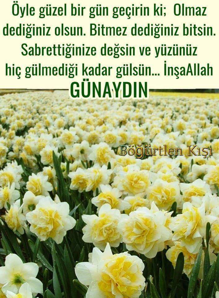 İyi bir gün, günaydın İyi bir güne dair alıntılar İyi bir gün, günaydın İyi bir güne dair alıntılar