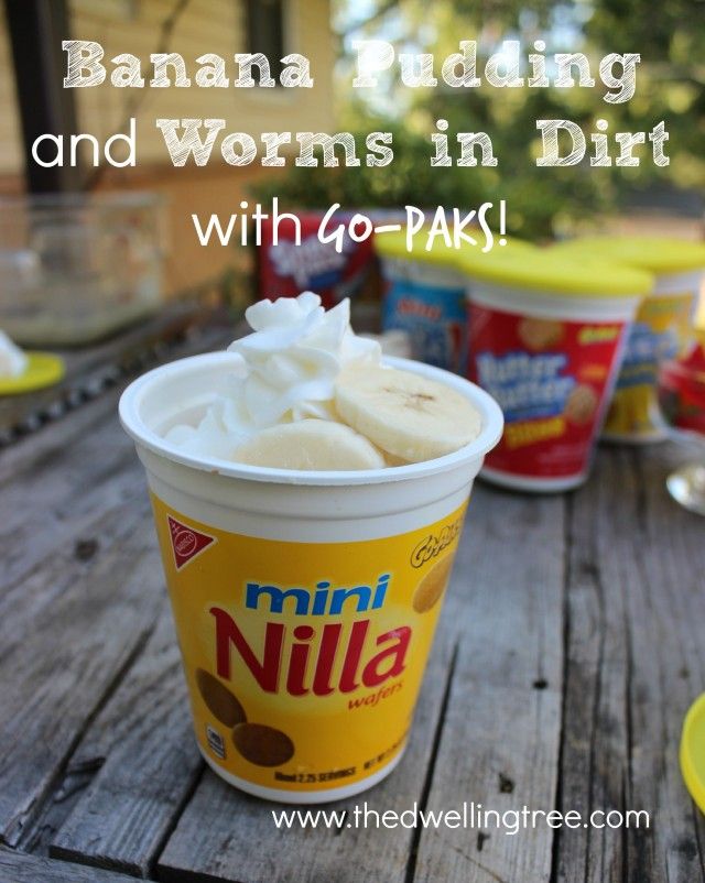 How to catch worms easy recipes How to catch worms easy recipes
