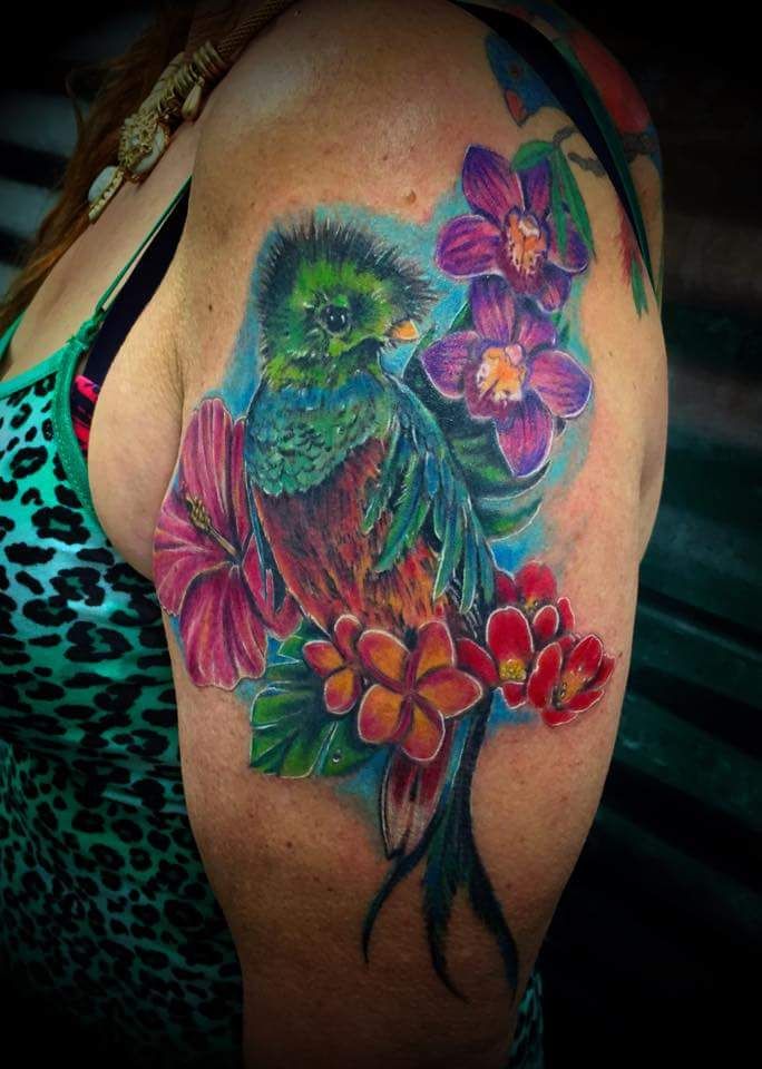 my latest shoulder piece quetzal bird amp butterfly my latest shoulder piece quetzal bird amp butterfly