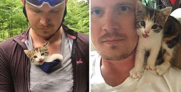 Stray Kitten Ran Up To A Couple Meowing For Help He Brought His