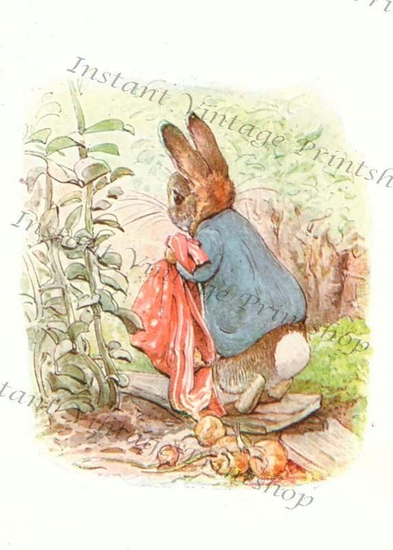 BENJAMIN BUNNY High resolution Instant Download Antique reproduction file 1904