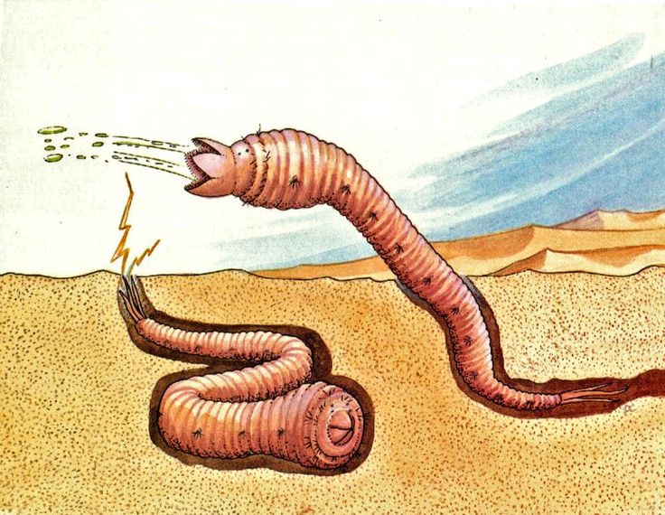 27 best Gobi féreg, gobi worm images on Pinterest Death - haus der küchen worms 27 best Gobi féreg, gobi worm images on Pinterest Death - haus der küchen worms