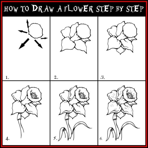 How To Draw A Flower (Step By Step Image Guides) - Bored Art ...