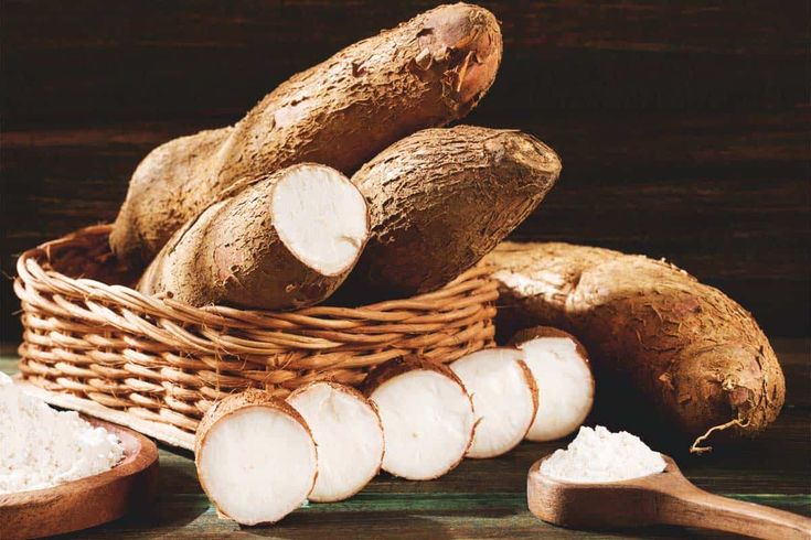Growing Cassava: Planting Guide, Care, Problems and Harvest in 2020