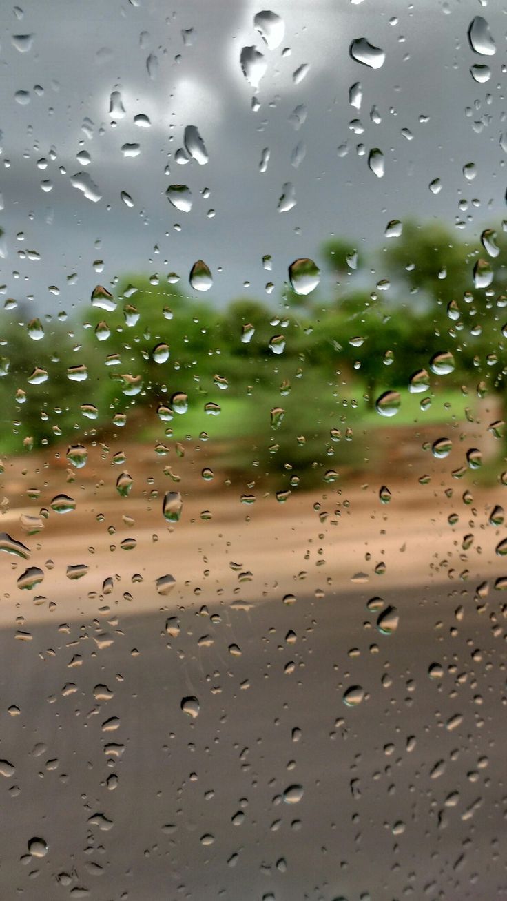 Nature rain wallpaper discount