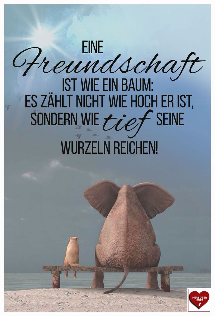 Eine Freundschaft ist wie ein Baum.. Geburtstagswünsche sprüche