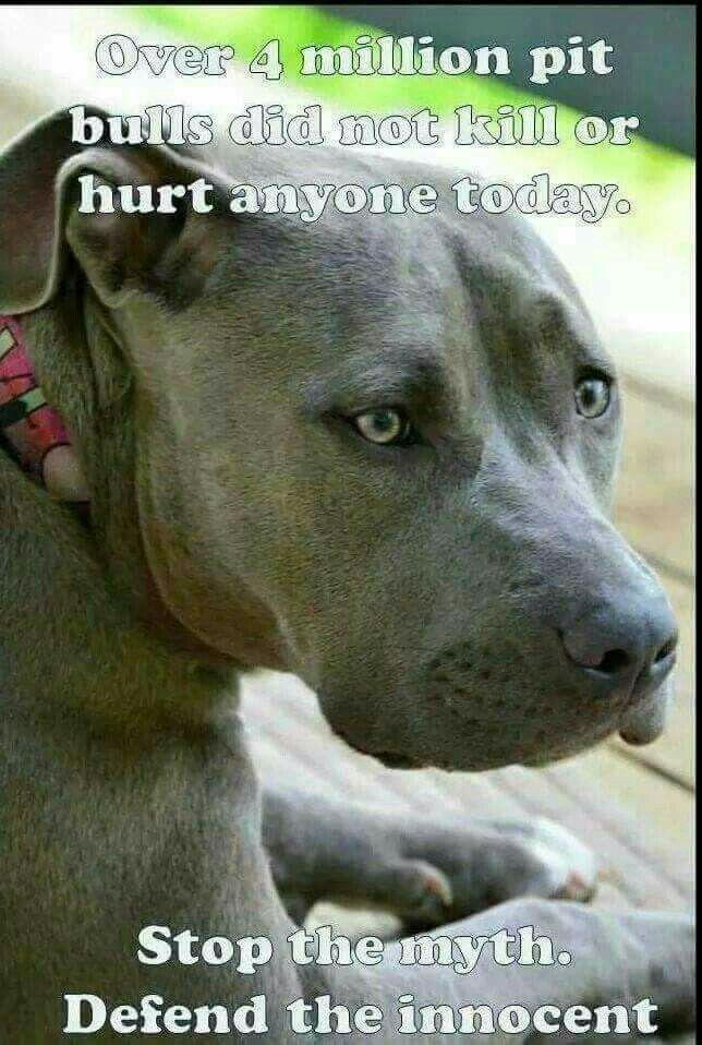 Including My Eli So All You Breed Profilers Can Go Jump Off The