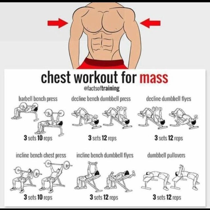 Pin by Derrick Thomas deFend on Arm workout | Muscle mass workout