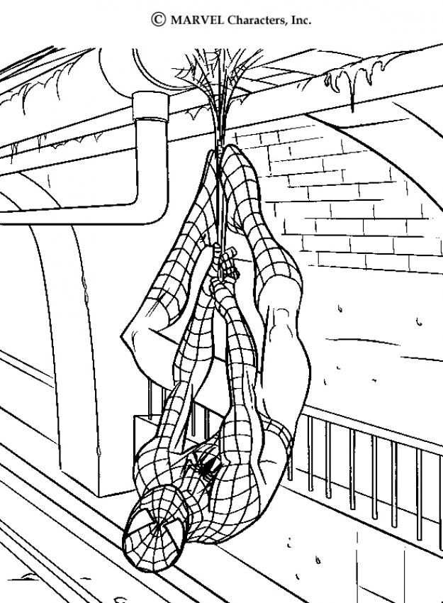 Человек паук распечатать бесплатно формат а4 Resultado de imagen para coloring nick Amazing spiderman, Spider-man, Colori