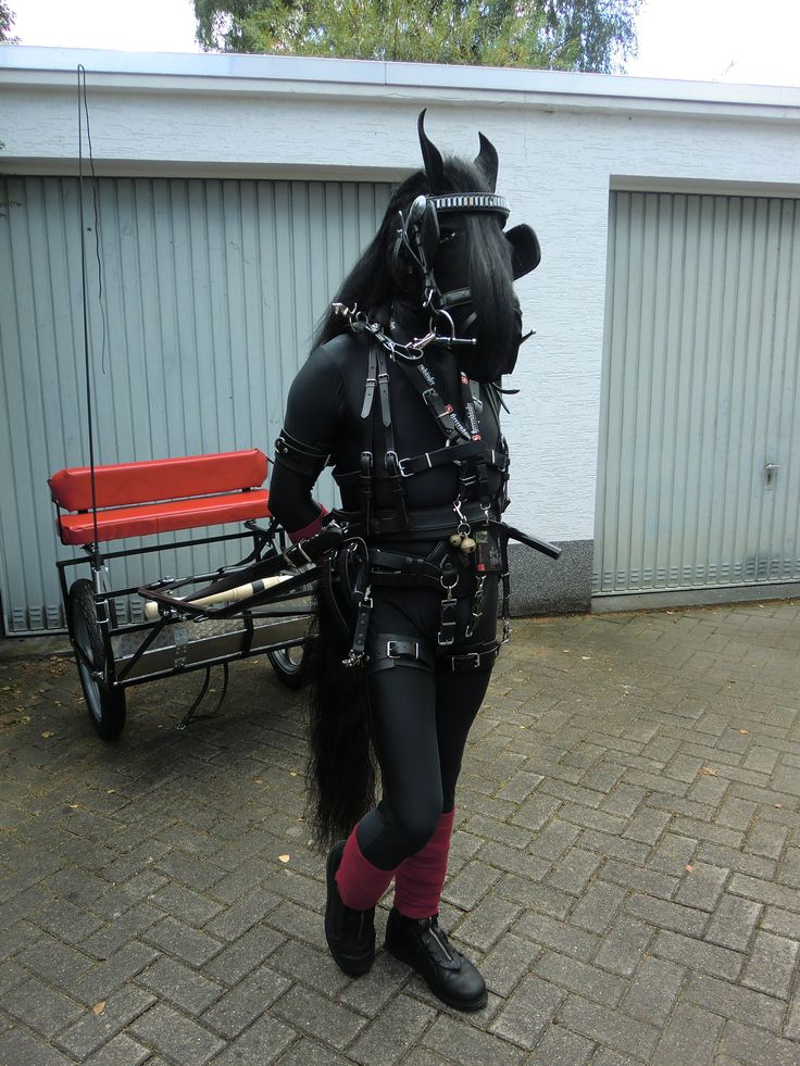 Petplay Petplay