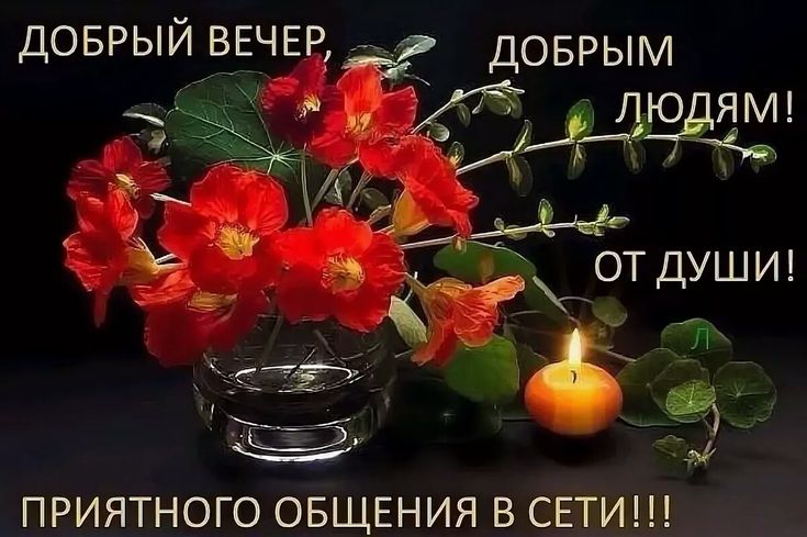 Открытка, открытки добрый вечер приятного общения хорошего настроения