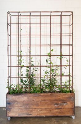 Herb Planters best 20+ herb planters ideas on pinterest | growing herbs indoors Herb Planters best 20+ herb planters ideas on pinterest | growing herbs indoors