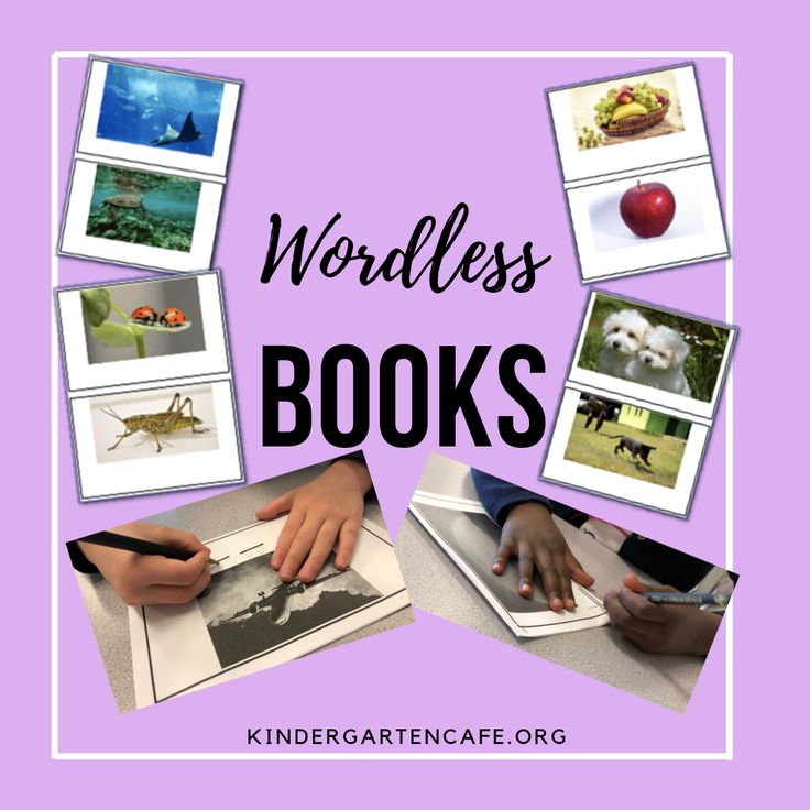 Wordless Books  Wordless book, Literacy activities kindergarten