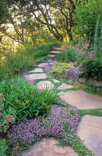 California Landscaping Ideas best 25+ california garden ideas on pinterest | drought tolerant California Landscaping Ideas best 25+ california garden ideas on pinterest | drought tolerant