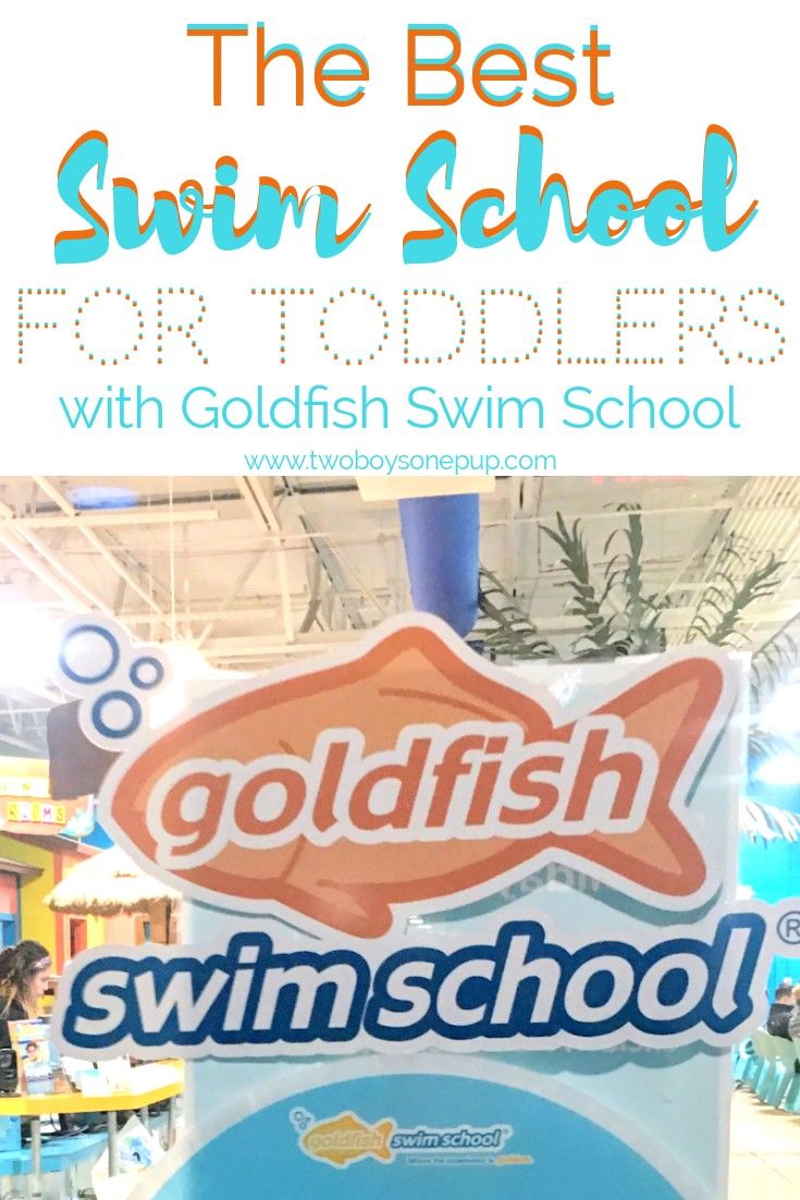 Adult Swim Hookup A Gamer Encouragements About Parenting Classes Adult Swim Hookup A Gamer Encouragements About Parenting Classes
