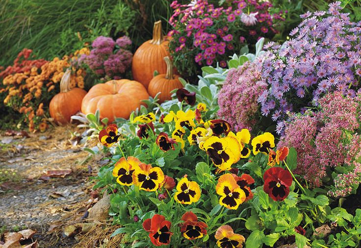 Preparing your plants for the changing seasons