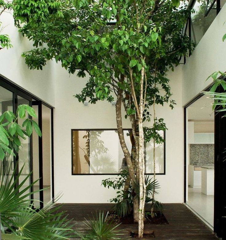 Inspiring Small Courtyard Garden Design Ideas For Your House 10
