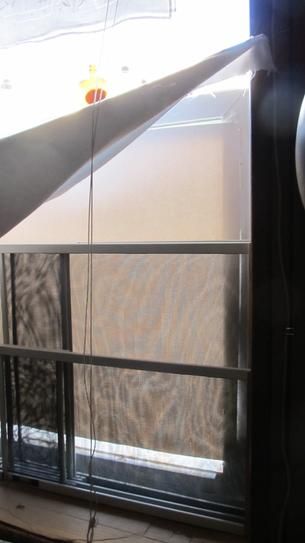 Window treatments for allergies