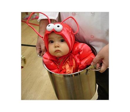 Best 25+ Baby Boy Halloween Ideas On Pinterest Baby Boy Costumes baby halloween costumes | Tips on How to Choose Baby Halloween Costumes for Boys lobster in - Best 25+ Baby Boy Halloween Ideas On Pinterest Baby Boy Costumes