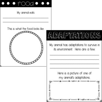 7 best Coloring Pages images on Pinterest Columbus day - animal report template example 7 best Coloring Pages images on Pinterest Columbus day - animal report template example