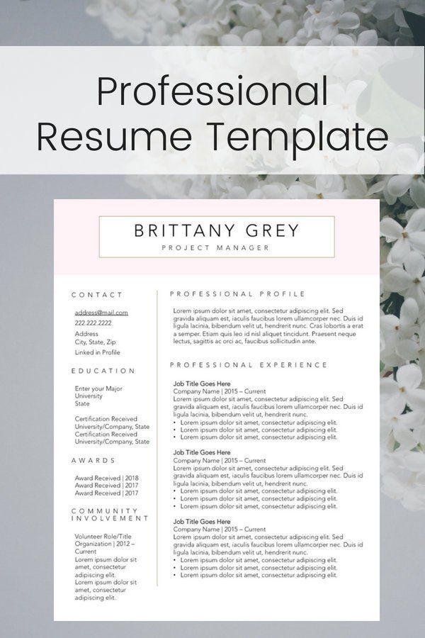 modern custom professional resume cv template instant digital digital resumes