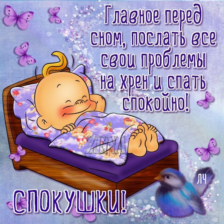Открытка доброй ночи с юмором, днем рождения