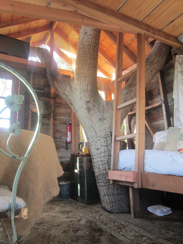 Tree House Interior Ideas 180 best fantasy tree houses images on pinterest | treehouses Tree House Interior Ideas 180 best fantasy tree houses images on pinterest | treehouses