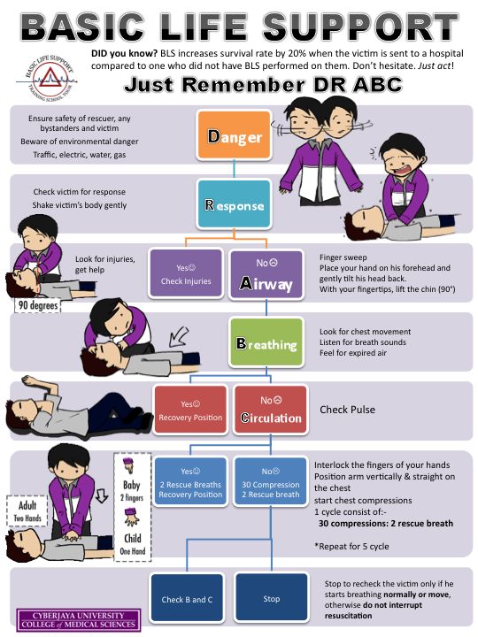 BLS Algorithm Basic Life Support bls-algorithm-basic-life-support