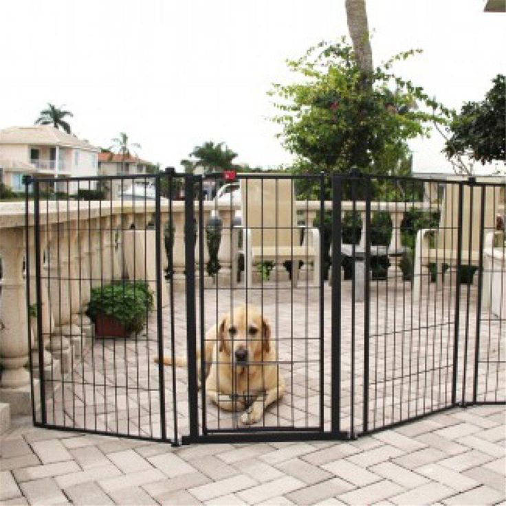 Professional Pet Supplies S Accessories And Equipment In 2021 Outdoor Dog Gate Tall Outdoor Dog Gate Tall Pet, Outdoor Dog Gate