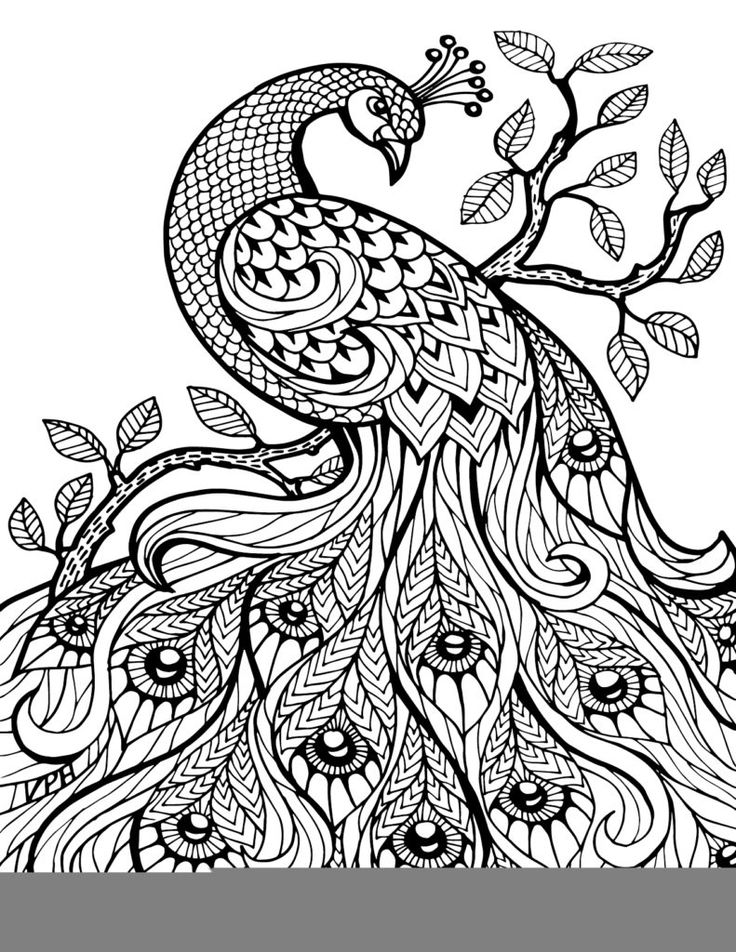 110 best Coloring pages images on Pinterest | Coloring books ... 110 best Coloring pages images on Pinterest | Coloring books ...