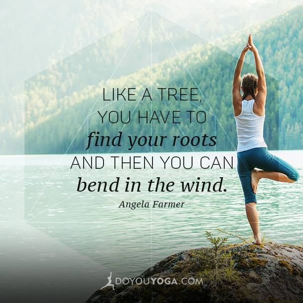 boat pose quotes best 25 tree quotes ideas on pinterest quotes on trees boat pose quotes best 25 tree quotes ideas on pinterest quotes on trees