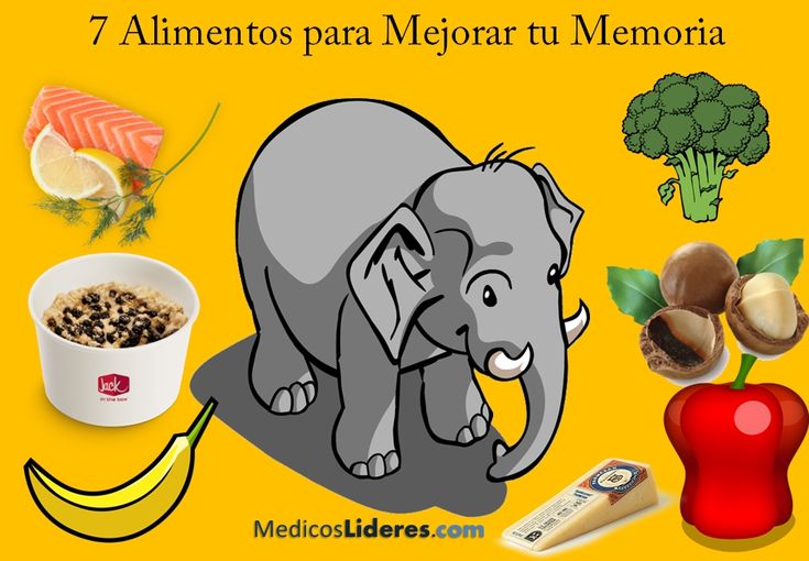 La alimentación que cuida tu memoria pdf indir
