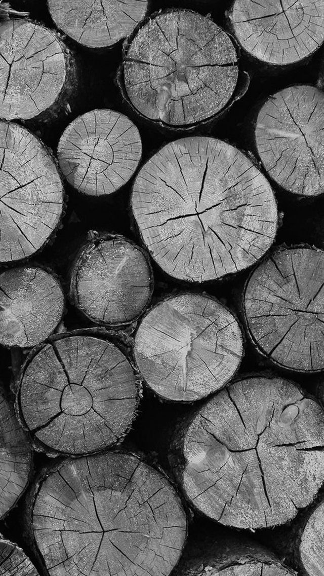 Wallpaper That Looks Like Wood 09 0f 10 With Wood Log Tree Trunk Hd Wallpapers Wallpapers Download High Resolution Wallpapers Wallpaper Picture On Wood Wood Logs
