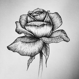 stippling draw illustrations searching color paints pointillism to draw illustrators search