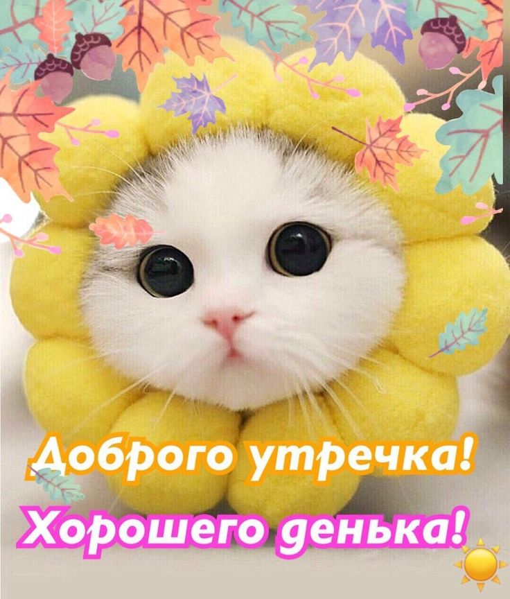 Картинка смешная с добрым утром и хорошего денечка