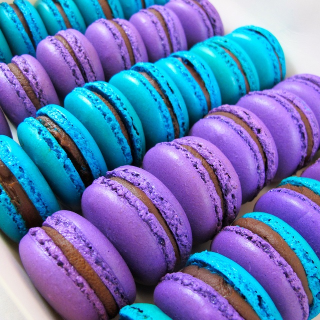 purple and blue dark chocolate marcarons macaron macaron macaron