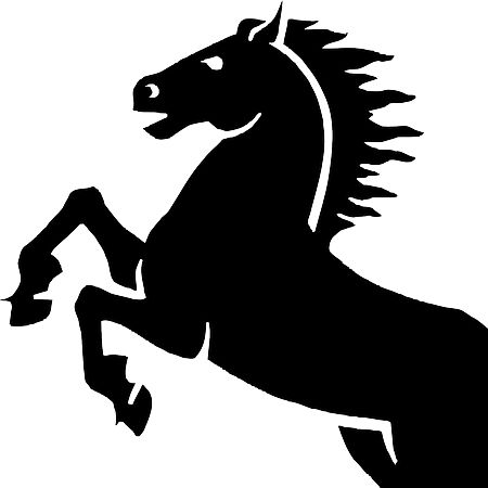 Unleash Your Inner Rider - Equestrian Adventure