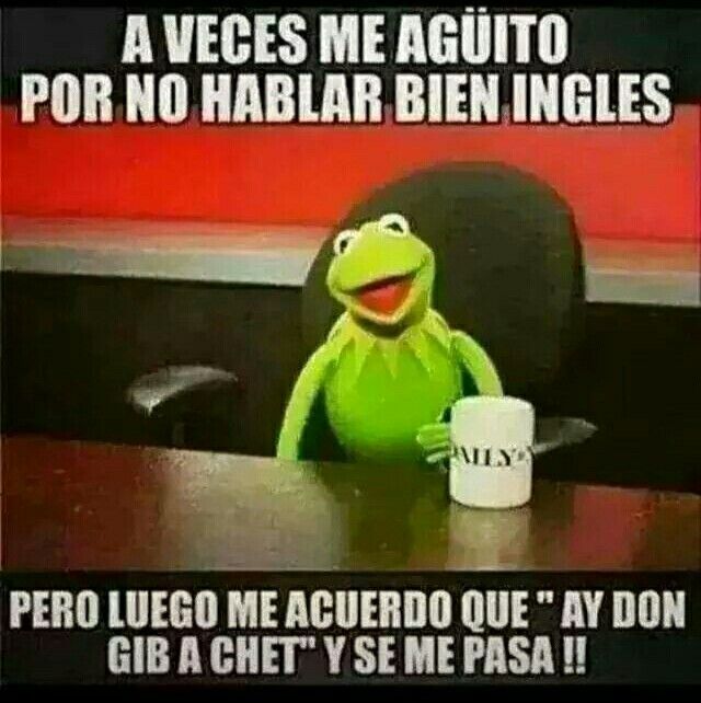 1204 best chistin jajaja images on pinterest funny images 08f15dd4ddf05b1bf3949504ee4ce55c humor memes funny memes 1204 best chistin jajaja images on pinterest funny images