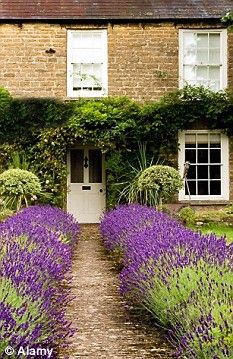 Garden Ideas In Front Of House best 25+ low maintenance landscaping ideas only on pinterest | low Garden Ideas In Front Of House best 25+ low maintenance landscaping ideas only on pinterest | low