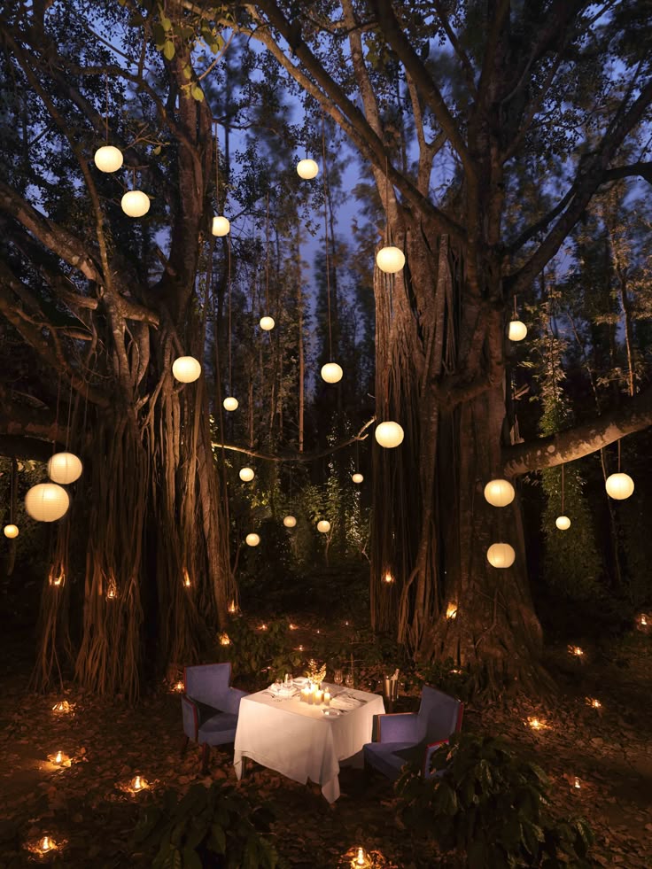 romantic garden, garden lighting, evenings, table, chairs, tree, branches, natural … romantic garden, garden lighting, evenings, table, chairs, tree, branches, natural …