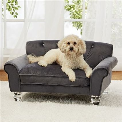 80 Best Cozy Pets Images On Pinterest Doggies Little Dogs And A Luxurious Velvet Sofa Bed For Dogs Up To 30 Lbs