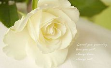 Latest White Rose Wallpaper HD Resolution #52F 1024 x 768 px 236.31 KB gothic purple pink animated 3 Latest White Rose Wallpaper HD Resolution #52F 1024 x 768 px 236.31 KB gothic purple pink animated 3