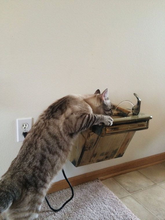Funny Cat Automatic Faucet Funny Cat Automatic Faucet