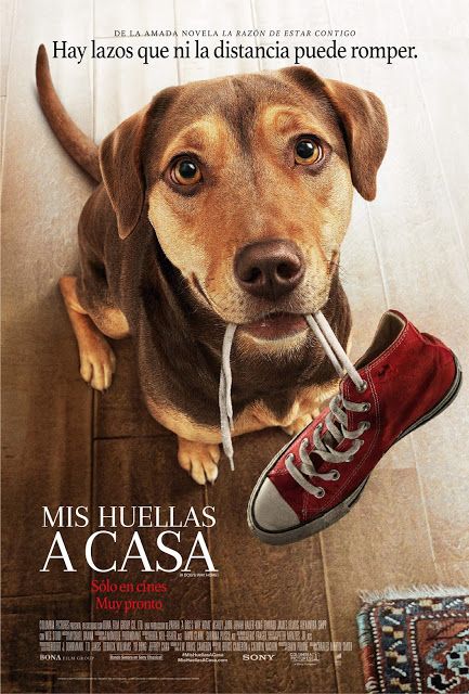 mis huellas a casa poster cine cine en 2019 full mis huellas a casa poster cine cine en 2019 full