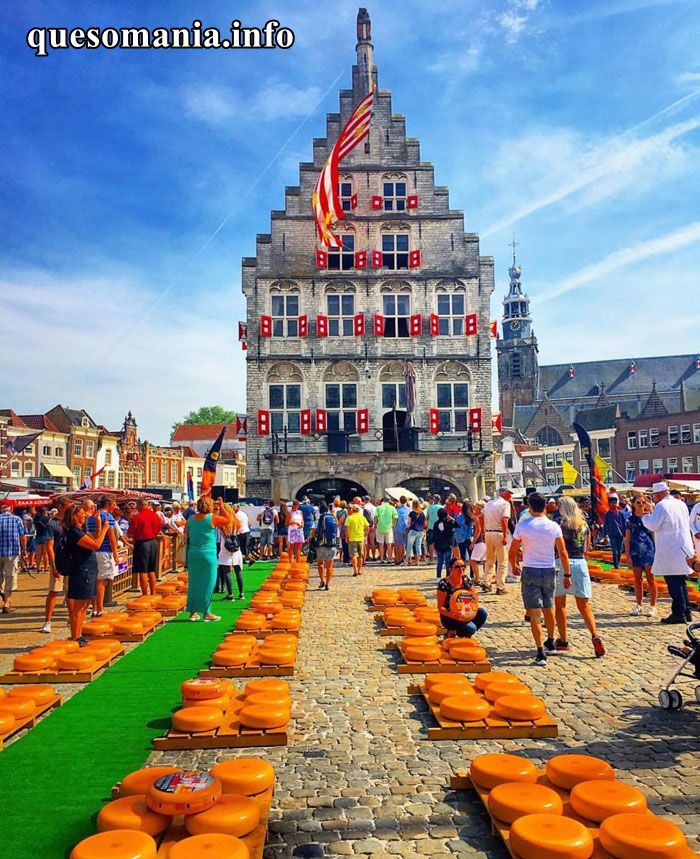 Pin En Los Mejores Quesos De Holanda