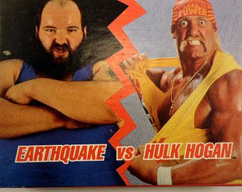 hulk hogan wrestling federation gay gay queer st. martin