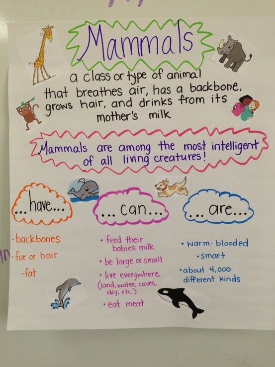 429 best ANCHOR charts images on Pinterest Teaching ideas, Ela - anchor charts 429 best ANCHOR charts images on Pinterest Teaching ideas, Ela - anchor charts