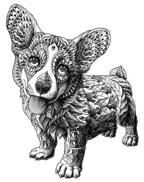 Download BIOWORKZ | Graphic Artist | Freelance Illustrator | Corgi art, Puppy art, Animal coloring pages